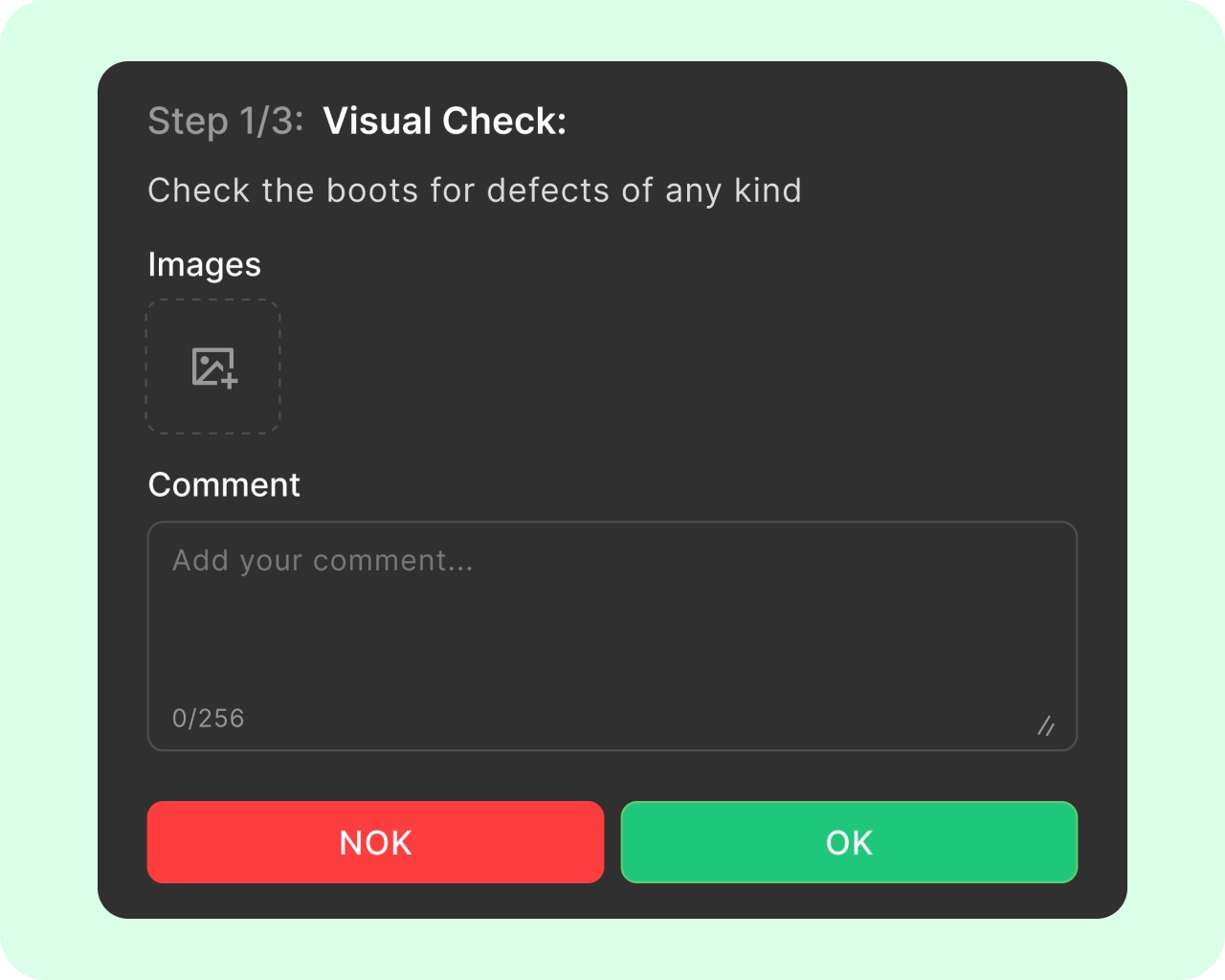 Visual Checks